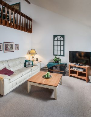 17C Living Room