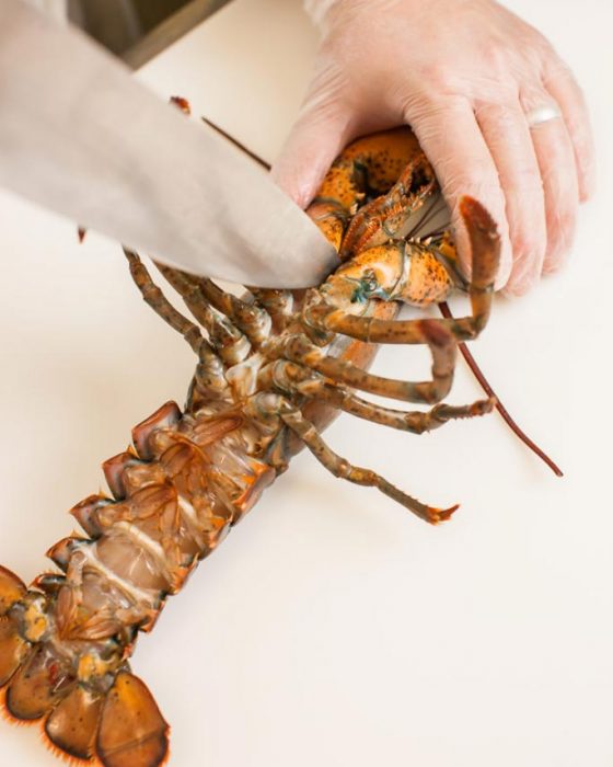 Baked Stuffed Lobster Wild Rose Restaurant Recipes